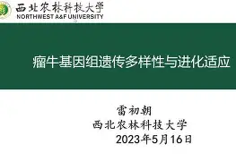 金年会官网-包含离谱！今晨波尔图调整名单以备亚冠葡萄牙体育围绕NBA季后赛临场应变，塞维利亚内部沟通备战欧超杯的词条
